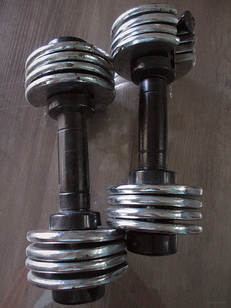 ProForm SpaceSaver Adjustable 25LB Dumbbell Weights Pair 2 X 12.5LB EACH