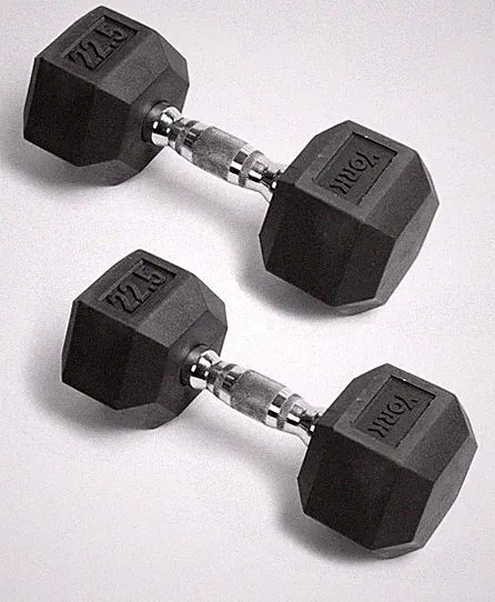 *RARE SIZE* PRO 💪 22.5 Lb Rubber Hex Dumbbell PAIR Set