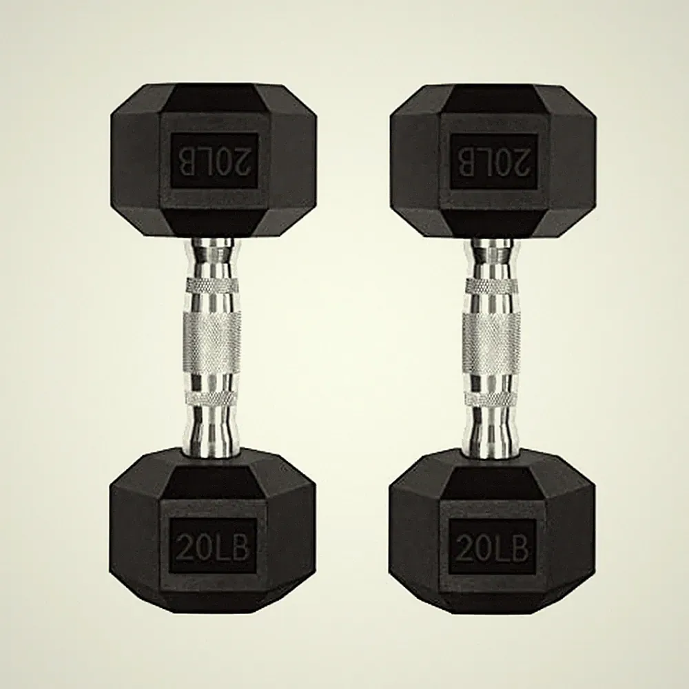 RitFit Rubber Coated Hex Dumbbell Weights Set for Home Gym 2 X 20 LBS