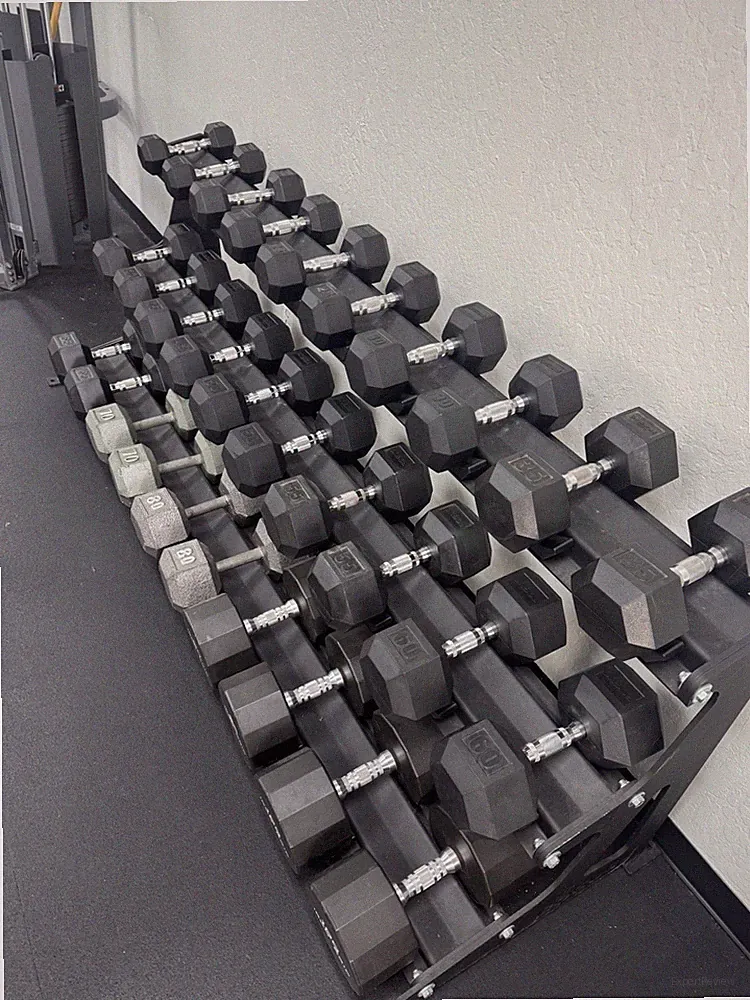 Rogue 3 Tiered DB Rack with DB set included. (Details in description)