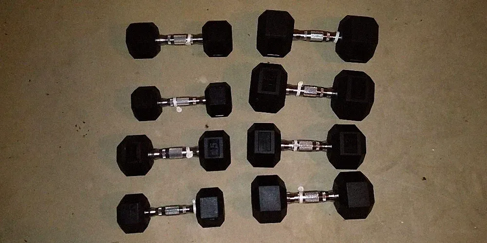 Rogue dumbbell set