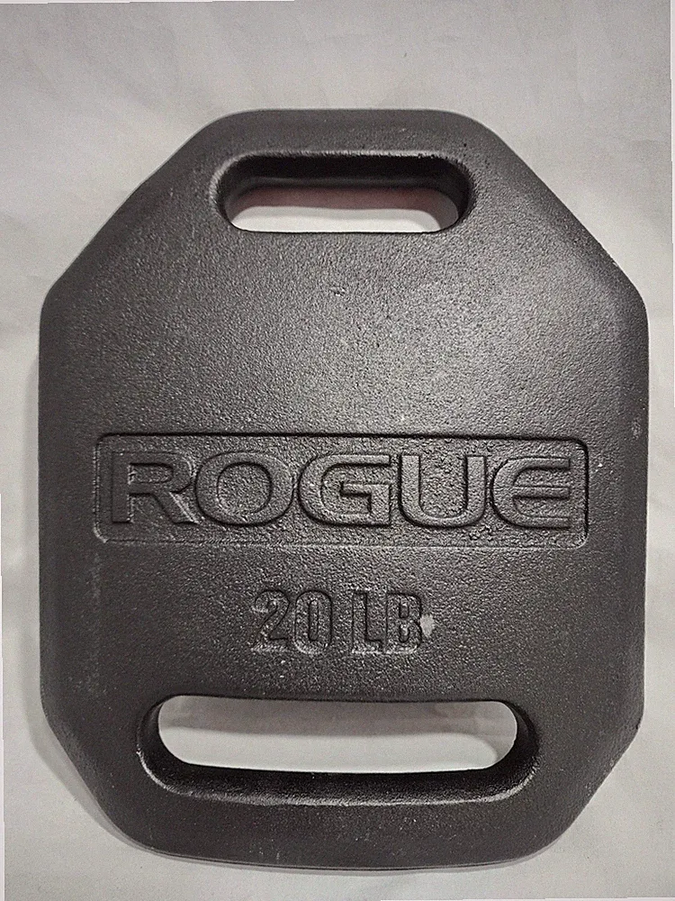 ROGUE FITNESS USA Cast 20LB Weight Vest Plate Echo (Single Plate)