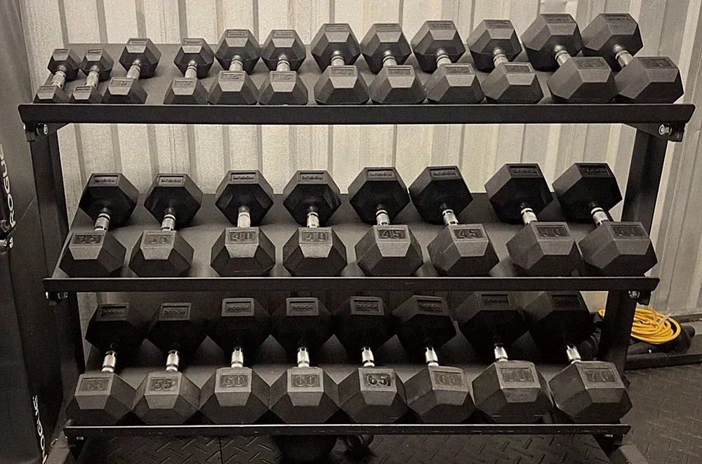 Rogue Rubber Hex Dumbbell Set 5-100 LB Pairs Complete Home Commercial Gym