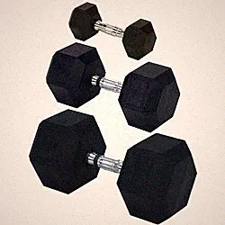 Rubber Encased Solid Hex Dumbbell 20lb