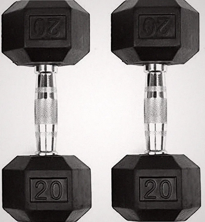 Set of 2 Hex Rubber Dumbbell with Metal Handles, Pair of 2 Heavy Dumbbells (20 L