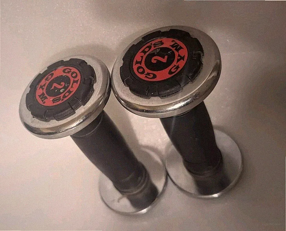 Set of 2 lb Gold's Gym Dumbells Weights Red Black Chrome Metal Pro Grip Light