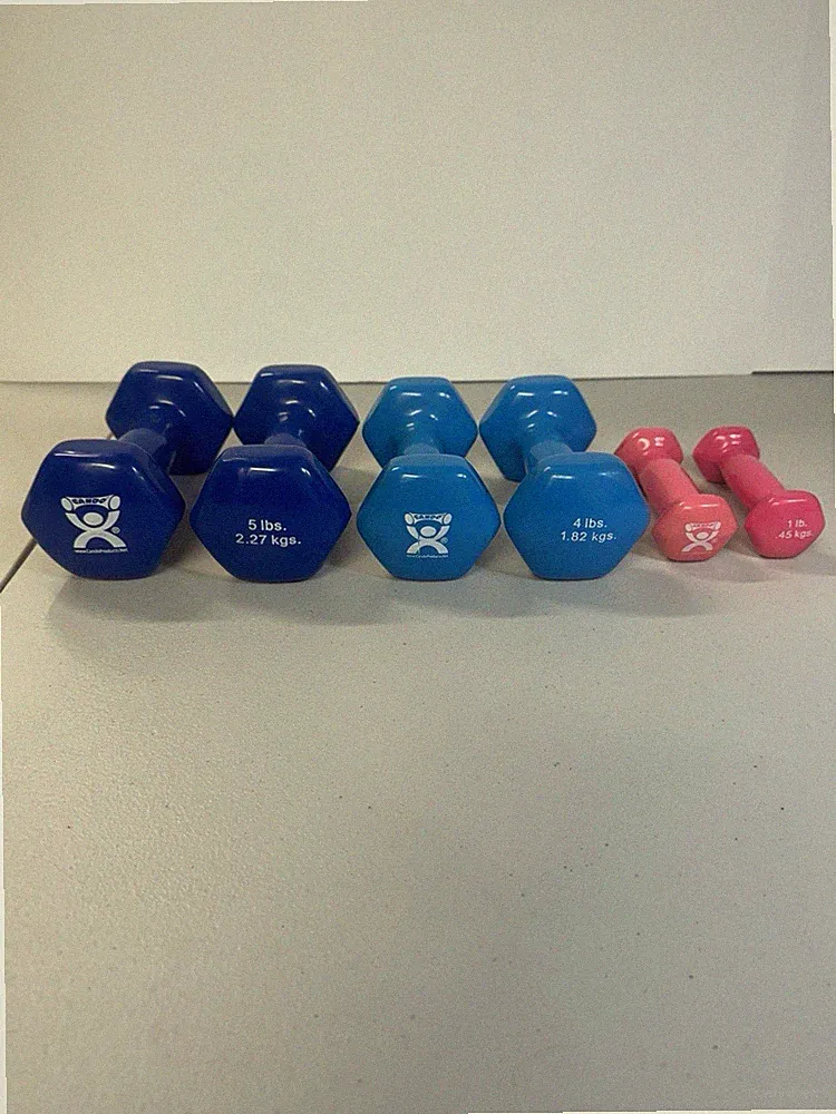 Set of 6 CanDo Vinyl Coated Dumbbells 1, 4 and 5 lb Pink & Blue Hand Weights