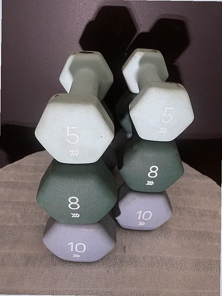Set-of-Dumbbells PVC Coated Iron Core by All-in-Motion