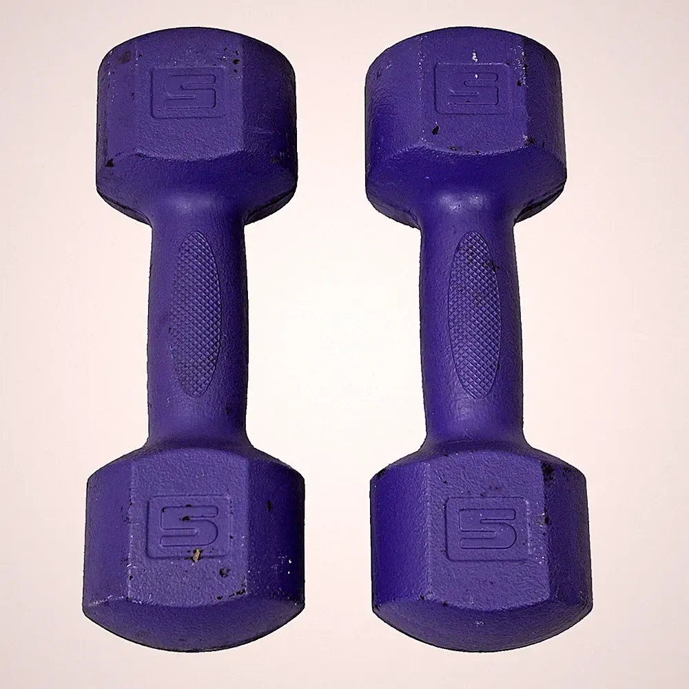 Set of Two 5 LB Dumbbells Purple Pair Hand Weights 10 LB total weight