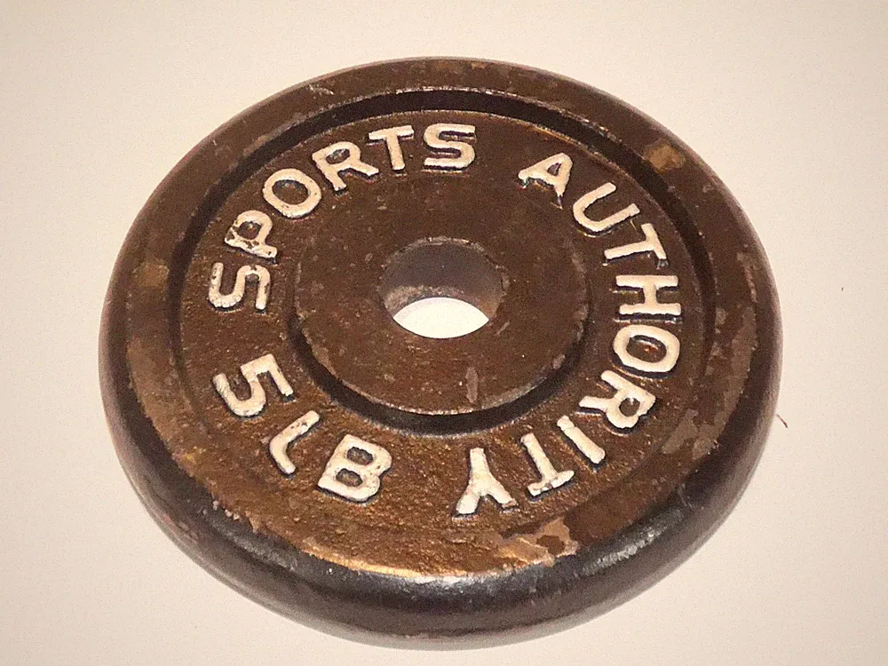 SPORTS AUTHORITY 5 Lb Cast Iron Single Weight Plate Gym Olympics