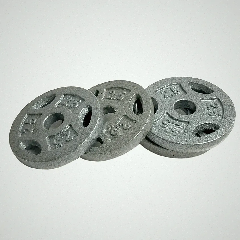 Standard 1 Inch Cast Iron Weight Plate Set 2.5 lb x 4 Gray Grip Plates