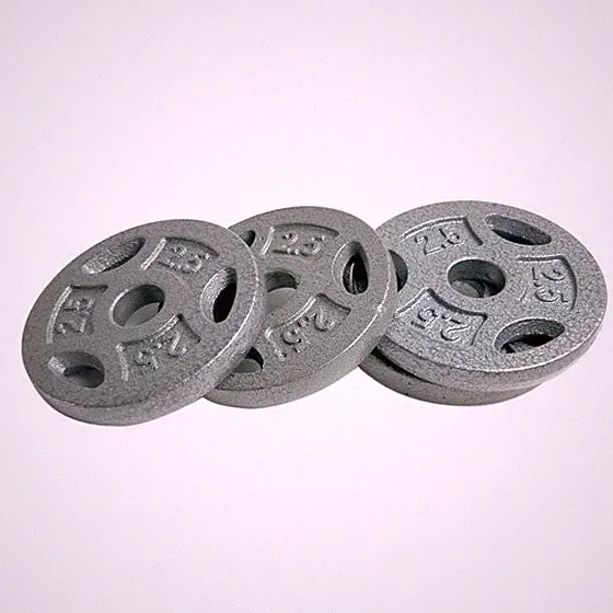 Standard 10 lb 1-Inch Weight Plate Set, 4-Piece Grip Iron Home Gym Fitness