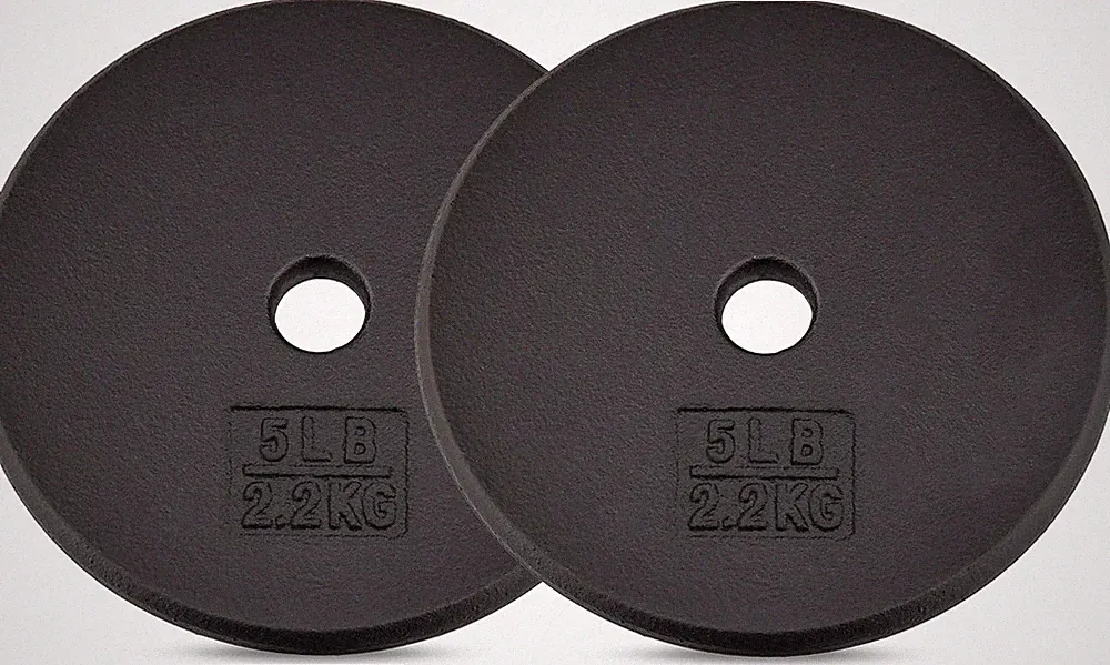 Standard Weight Plates, 1-Inch Cast Iron Barbell Weights, Wide Range 5–50 LB