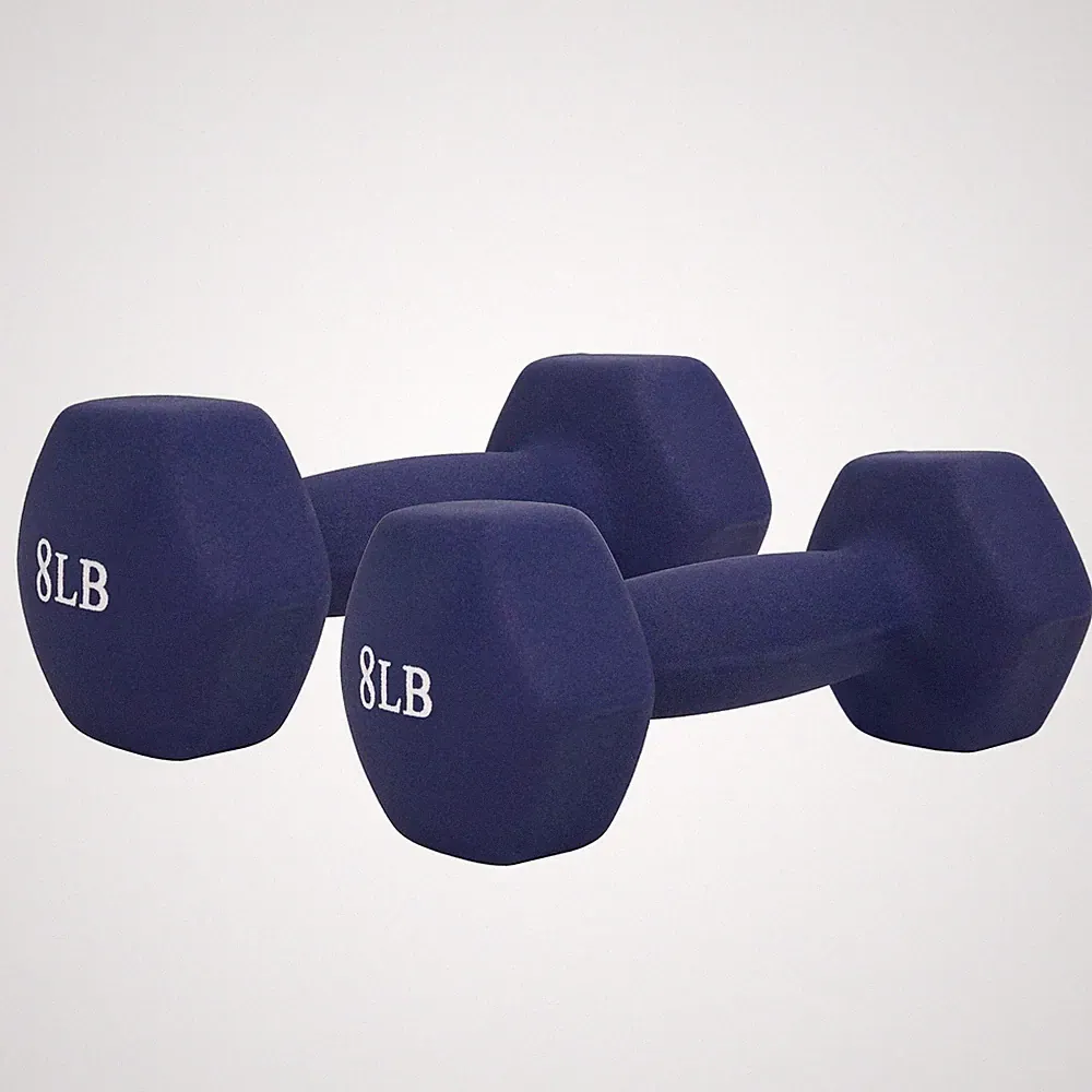Sunny Health & Fitness Dumbbells