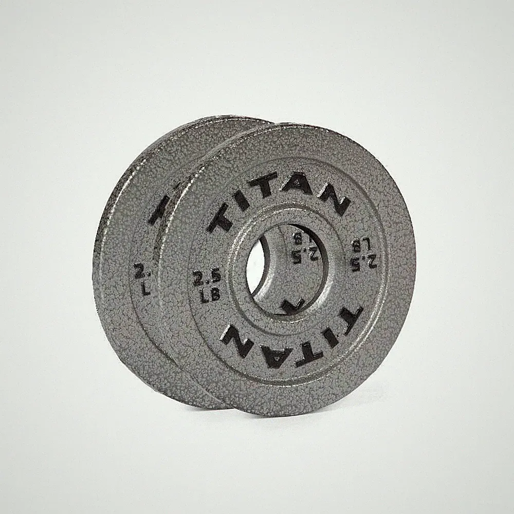 Titan Fitness 2.5 LB Cast Iron Olympic Plates, Sold In Pairs, Classic Plates