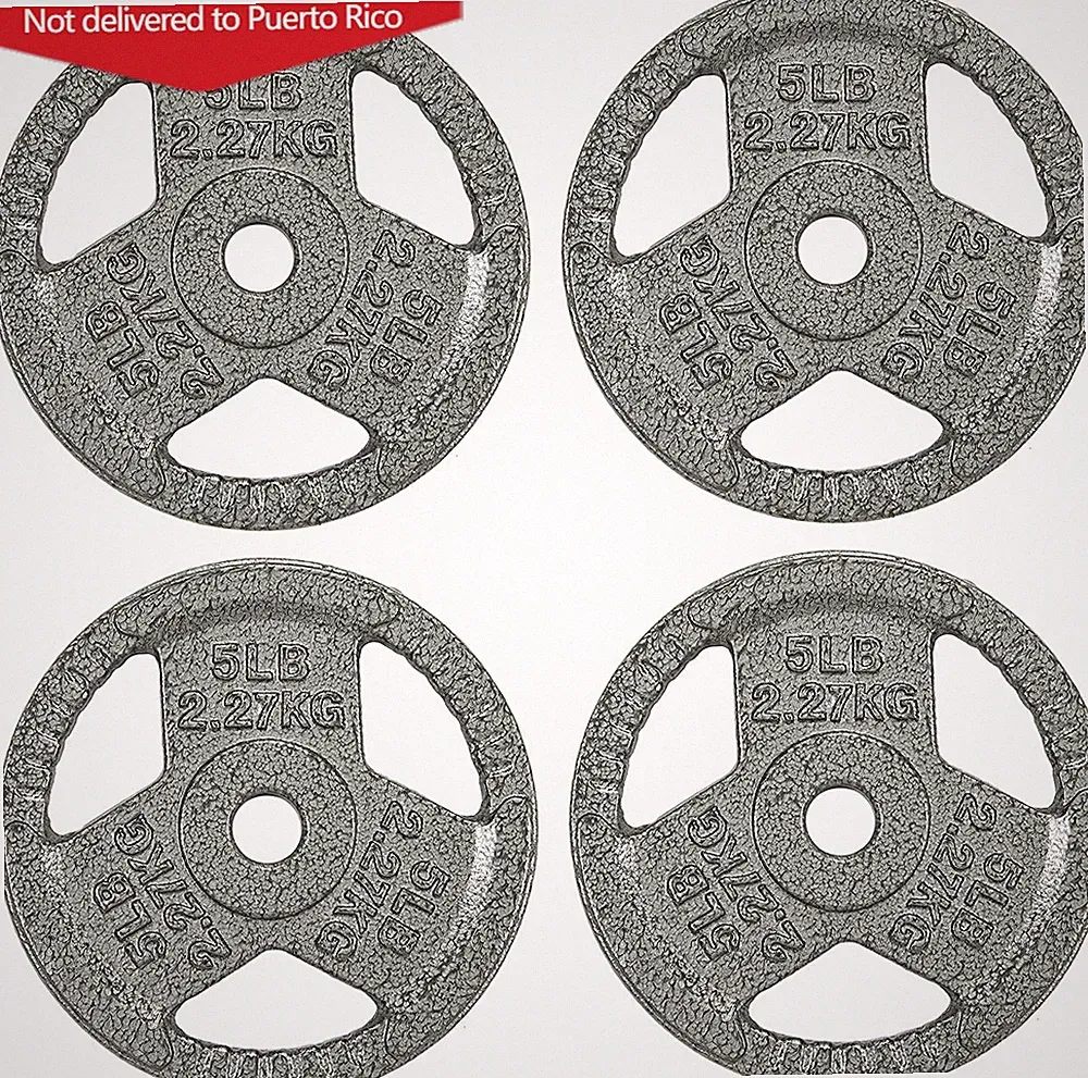 Tri-Grip Cast Iron Plate Weight Plate for Strength Training,1-Inch,5lbs Set of 4
