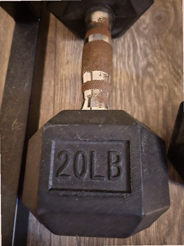 Two (2) 20 Lb Cast Iron Hex Dumbbell Dumbbells Fitness Gear Weights Total 40 LBS