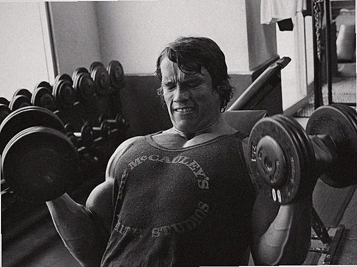 V0838 Arnold Schwarzenegger Dumbbells Bodybuilding Decor WALL POSTER PRINT