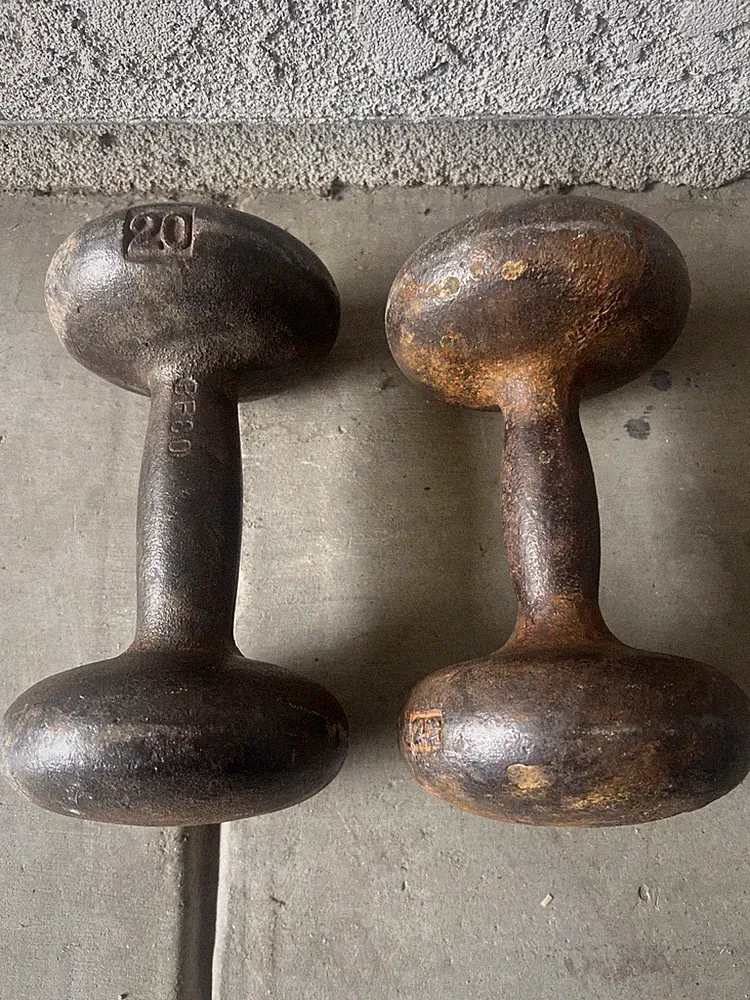 Vintage (1)BFCO Cast Iron (1) 20 lb Dumbbells Pair Bun Mushroom Head Rare Read!