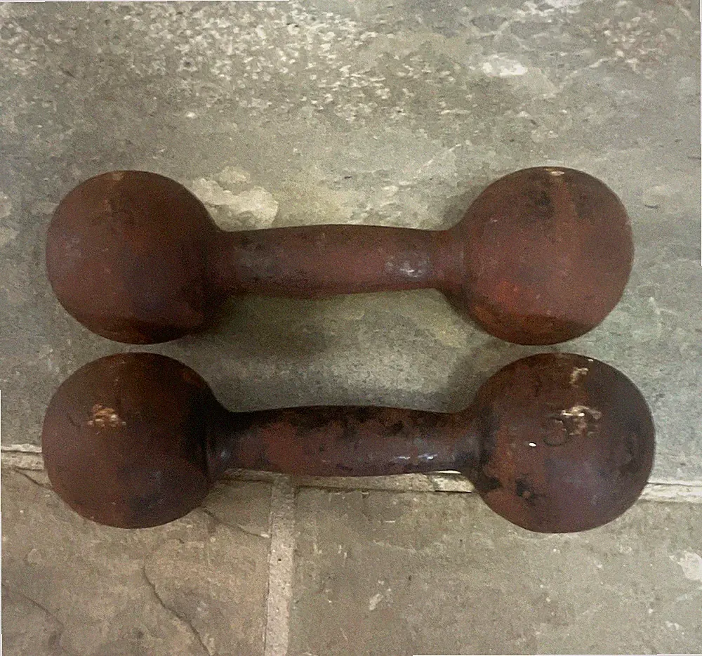 Vintage Cast Iron Globe Fixed Weight Dumbbells Pair Set of 2, 5 lb Each