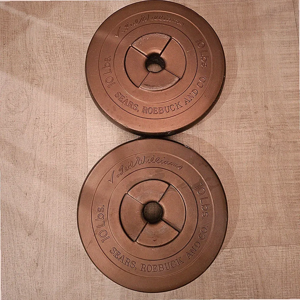 Vintage TED WILLIAMS SEARS 10lb Weight Plates 20lbs Total Set Of 2 1970s READ⬇