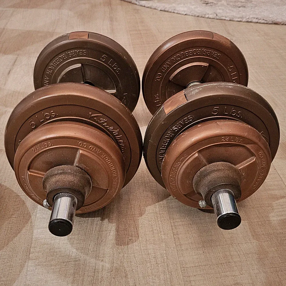 Vintage TED WILLIAMS SEARS Dumbell Weight Plates Approx 20lb EACH Set Of 2 READ⬇