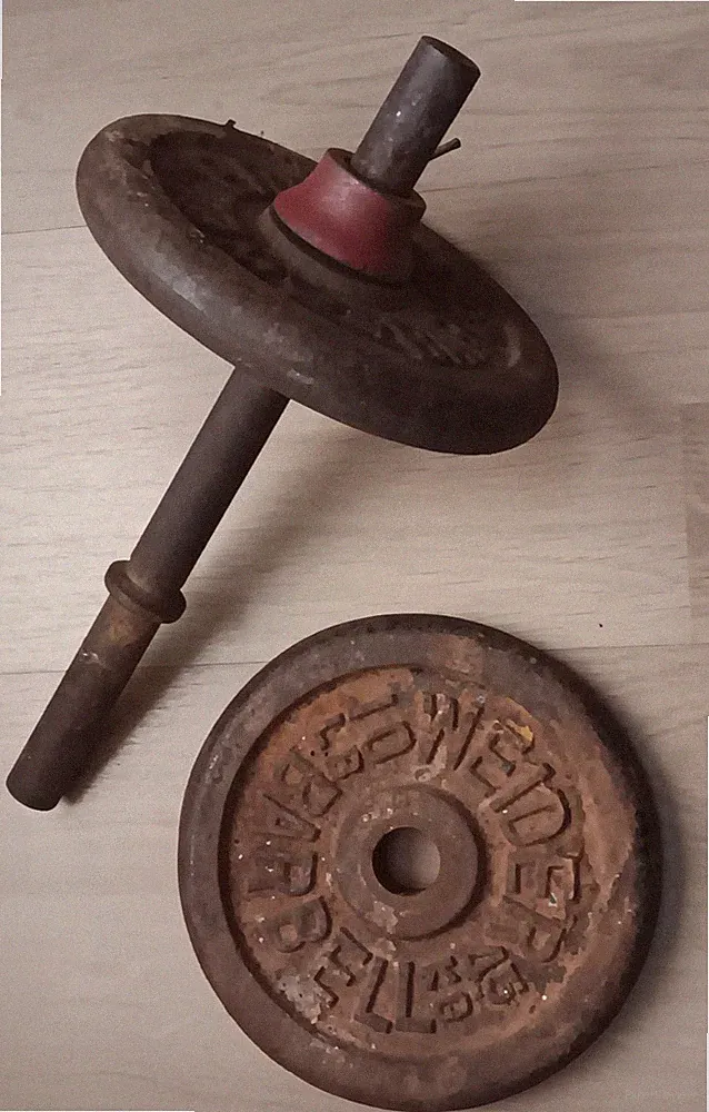 45 lb Weight Plates