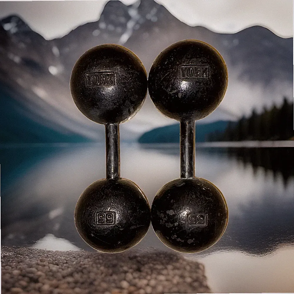 Vintage York Barbell Co. 55lb Globe Matching Pair Dumbbell Set (110 lbs)