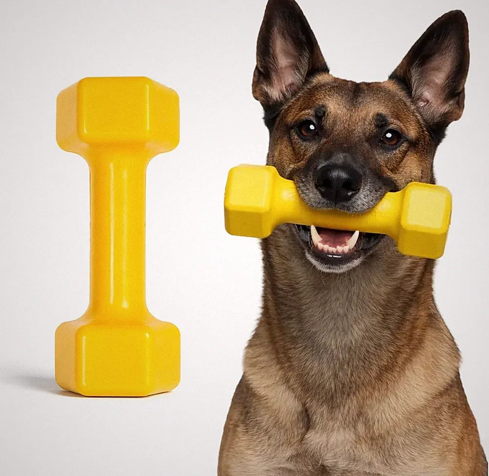 Virtually Indestructible Dog Dumbbell - Lifetime Replacement - Tough