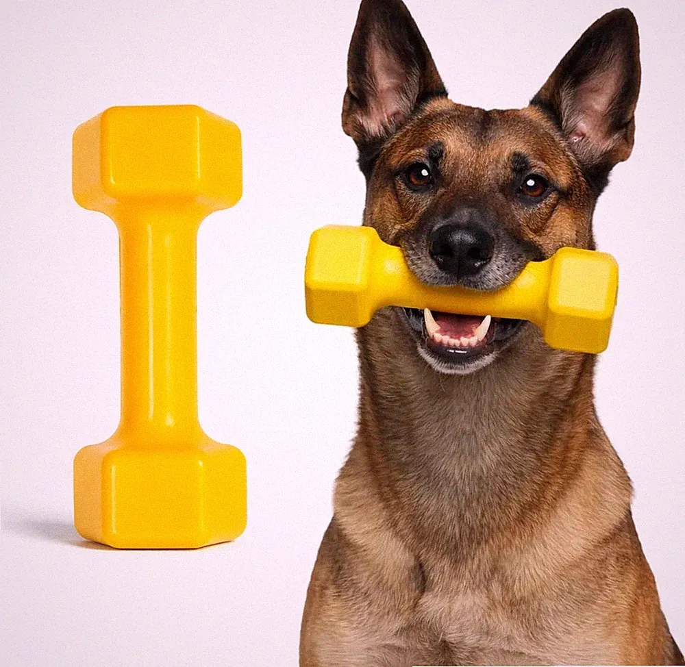 Virtually Indestructible Dog Dumbbell - Lifetime Replacement - Tough, Durable Ch