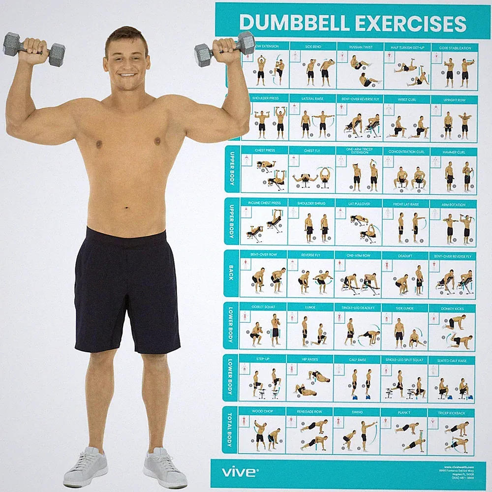 Vive Dumbbell Workout Poster - Home Gym Exercise for 30"L x 17"W, Multicolor