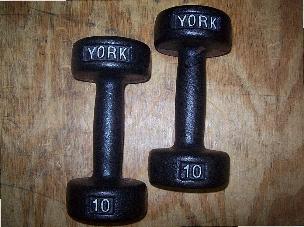 vtg YORK BARBELL 10 lb DUMBBELLS "ROUNDHEADS" BodyBuilding EXERCISE Fitness GYM*