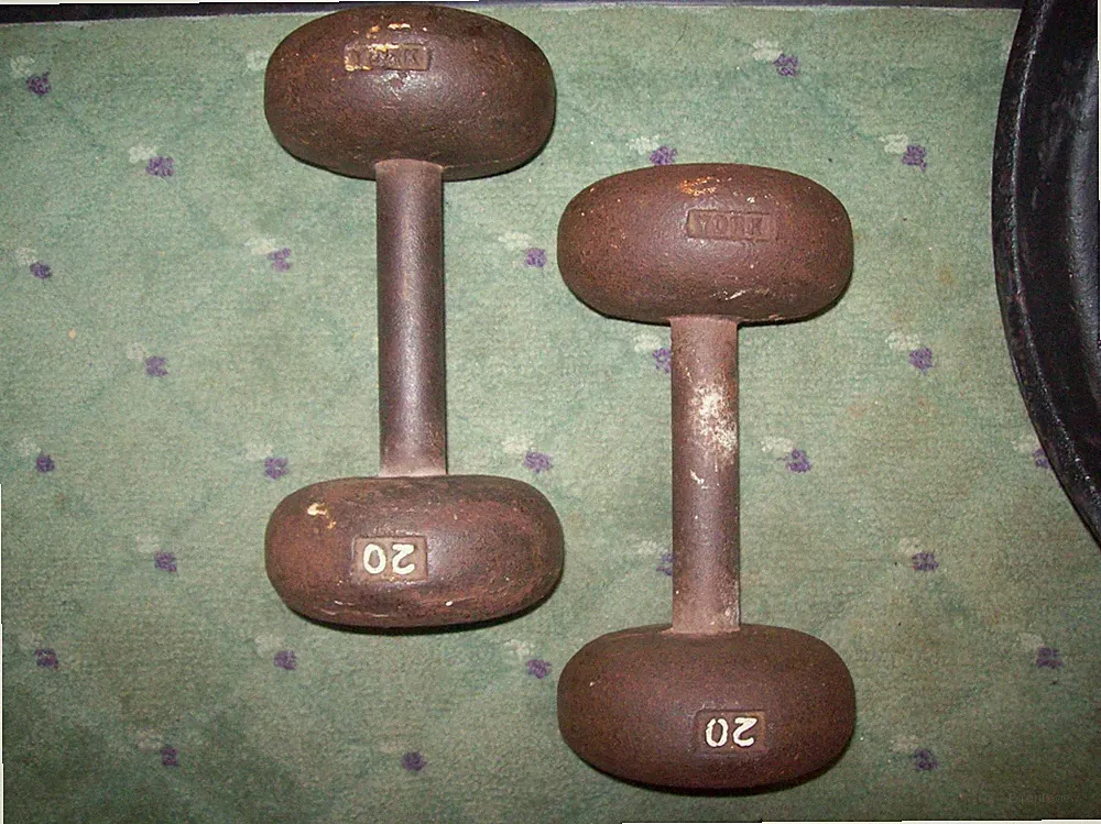 vtg YORK BARBELL 20 lb. DUMBBELLS "BUNS" BodyBuilding EXERCISE Fitness gym abs