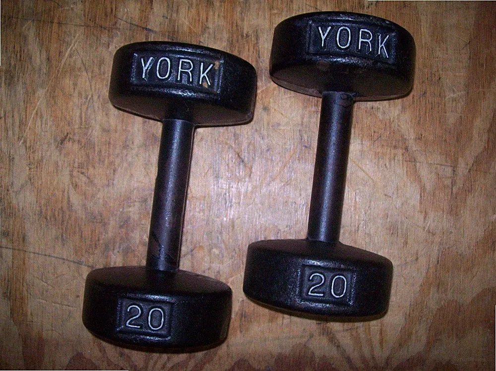 vtg YORK BARBELL 20 lb. DUMBBELLS "ROUNDHEADS" BodyBuilding EXERCISE Fitness GYM