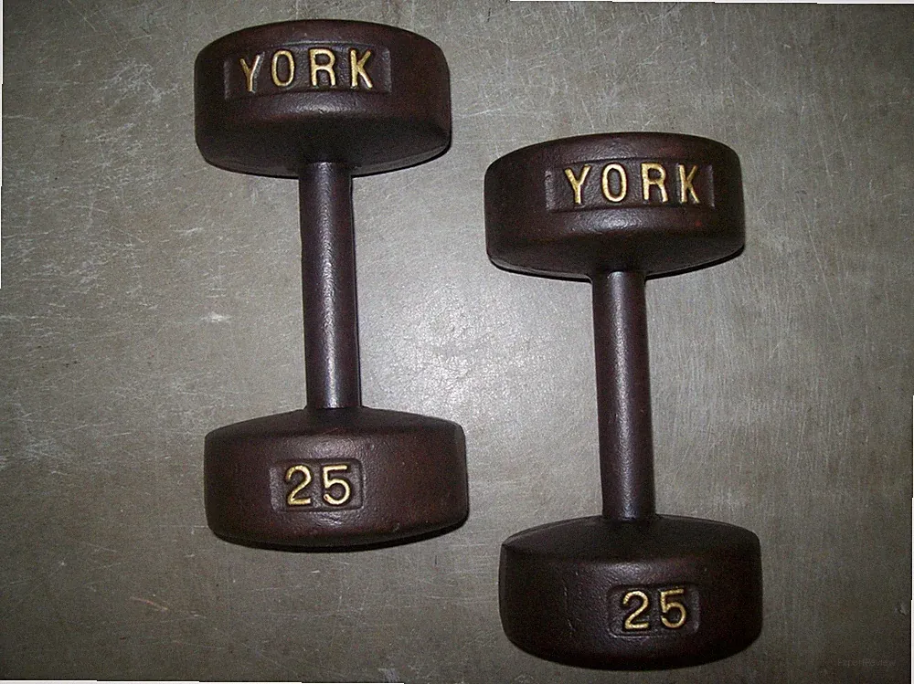 vtg YORK BARBELL 25 lb. DUMBBELLS "ROUNDHEADS" BodyBuilding EXERCISE Fitness abs