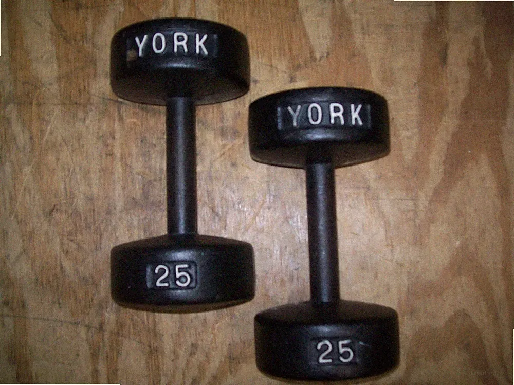 vtg YORK BARBELL 25 lb. DUMBBELLS "ROUNDHEADS" BodyBuilding EXERCISE Fitness GYM