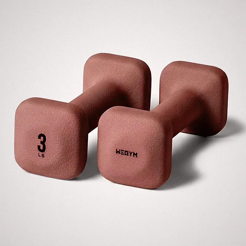 Wegym Safegrip Square Dumbbells Anti Slip Handles Aesthetic Weights For Home