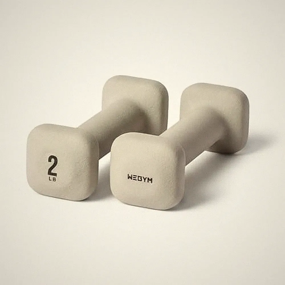 WeGym Weights