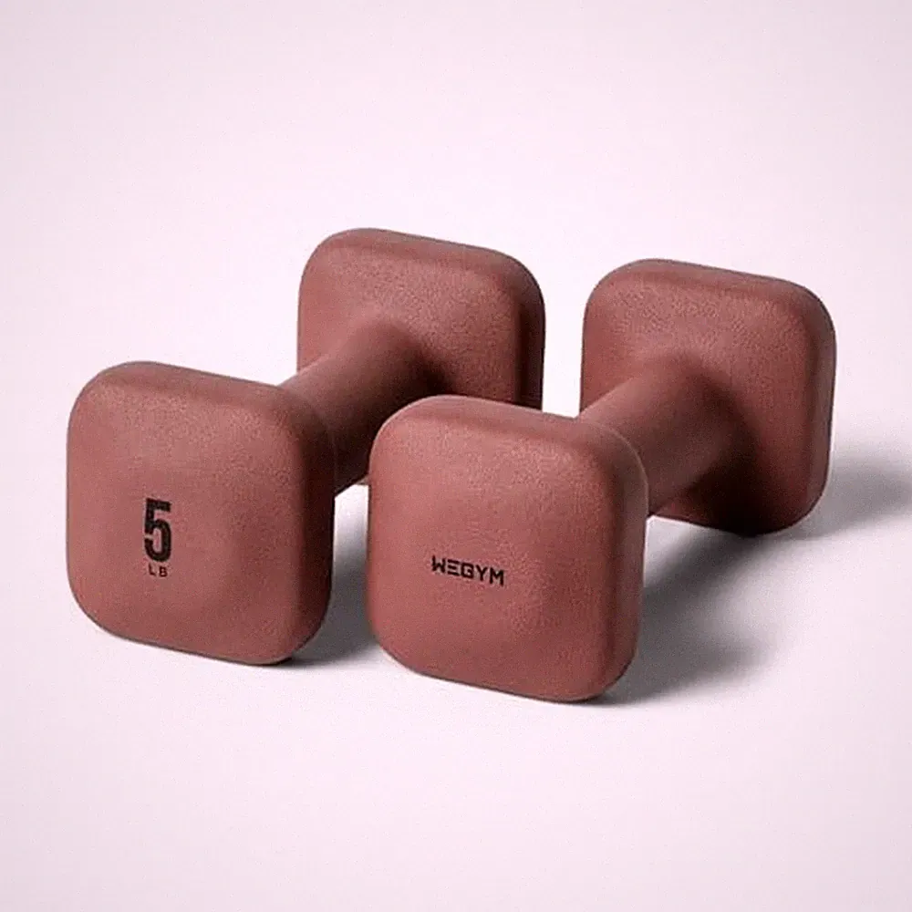 WeGym Square Dumbbells for Home Gym, Hand Weights for Strength Training Rose