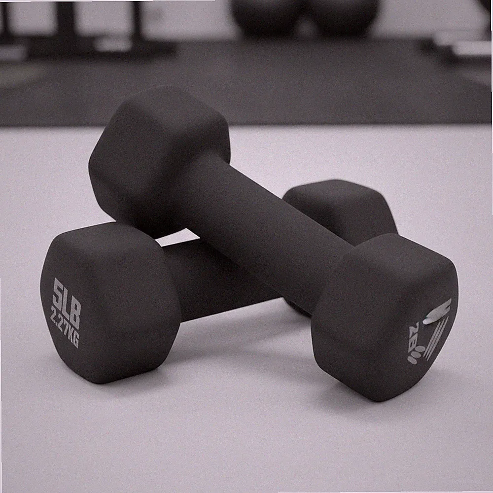 Weights Dumbbells Set - Neoprene Arm Weights With Non-Slip Grip, Strength Tra...