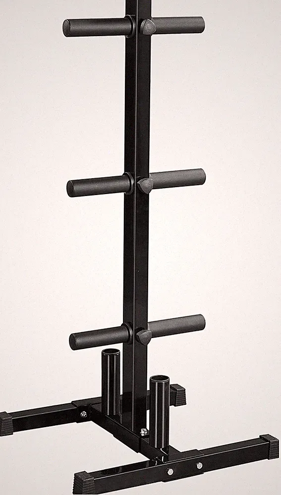 Yaheetech 2-Inch Barbell Plate and Dumbbell Racks Tree Olympic Plate Rack Weight