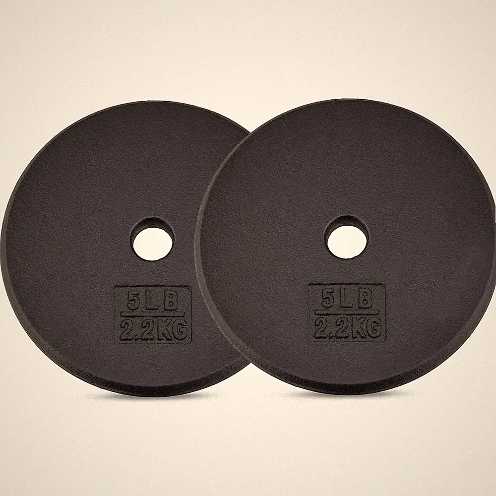 Yes4All 1-inch Cast Iron Weight Plates for Dumbbells – 2x5LB, Black Pair