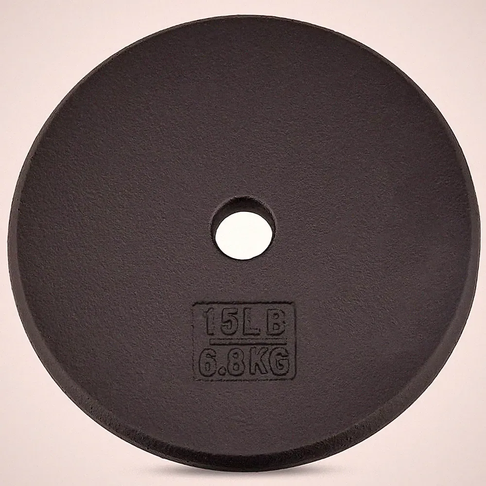 Yes4All 1-inch Cast Iron Weight Plates for Dumbbells – Standard Weight Disc