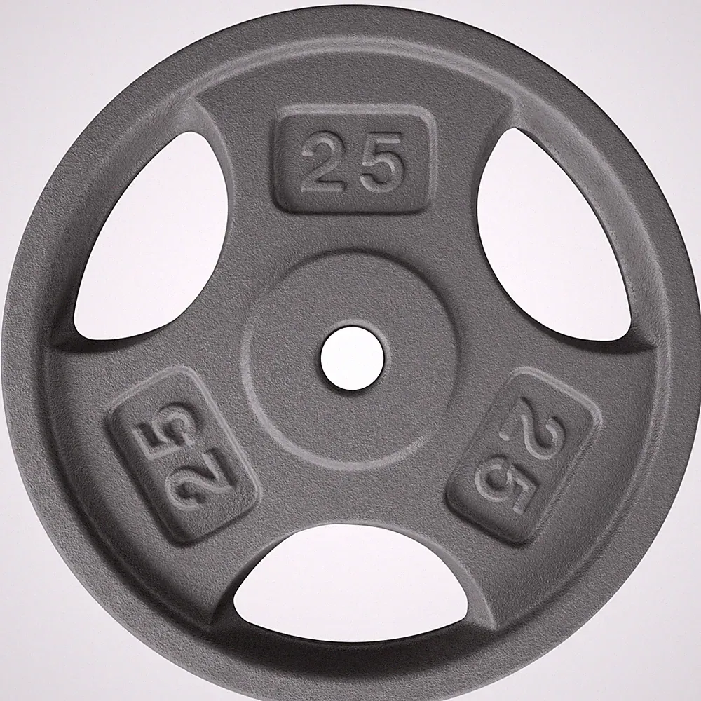 Yes4All 1 Inch Grip Cast Iron Weight Plates for Dumbbells – Standard G. 25LB