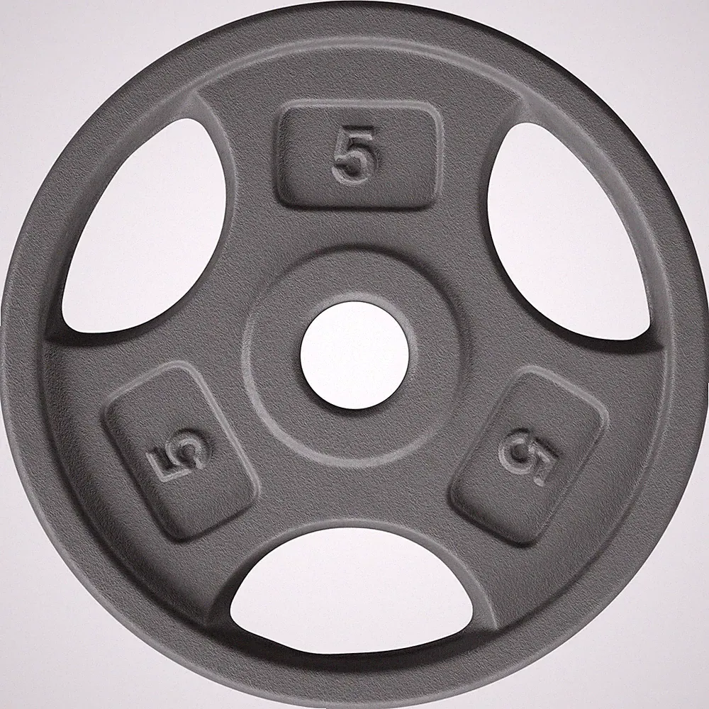 Yes4All 1 Inch Grip Cast Iron Weight Plates for Dumbbells – Standard Weight...