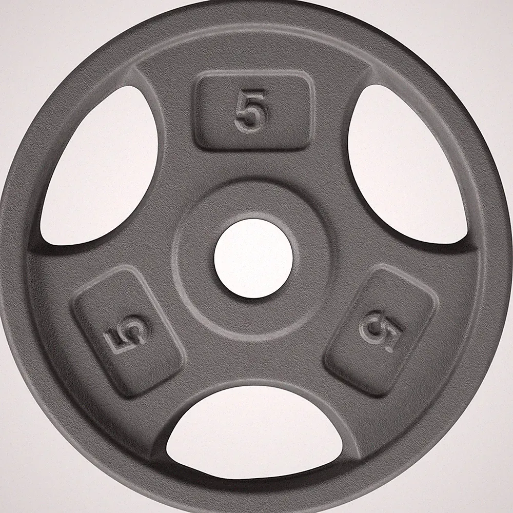 Yes4All 1 Inch Grip Cast Iron Weight Plates for Dumbbells – Standard Weight...