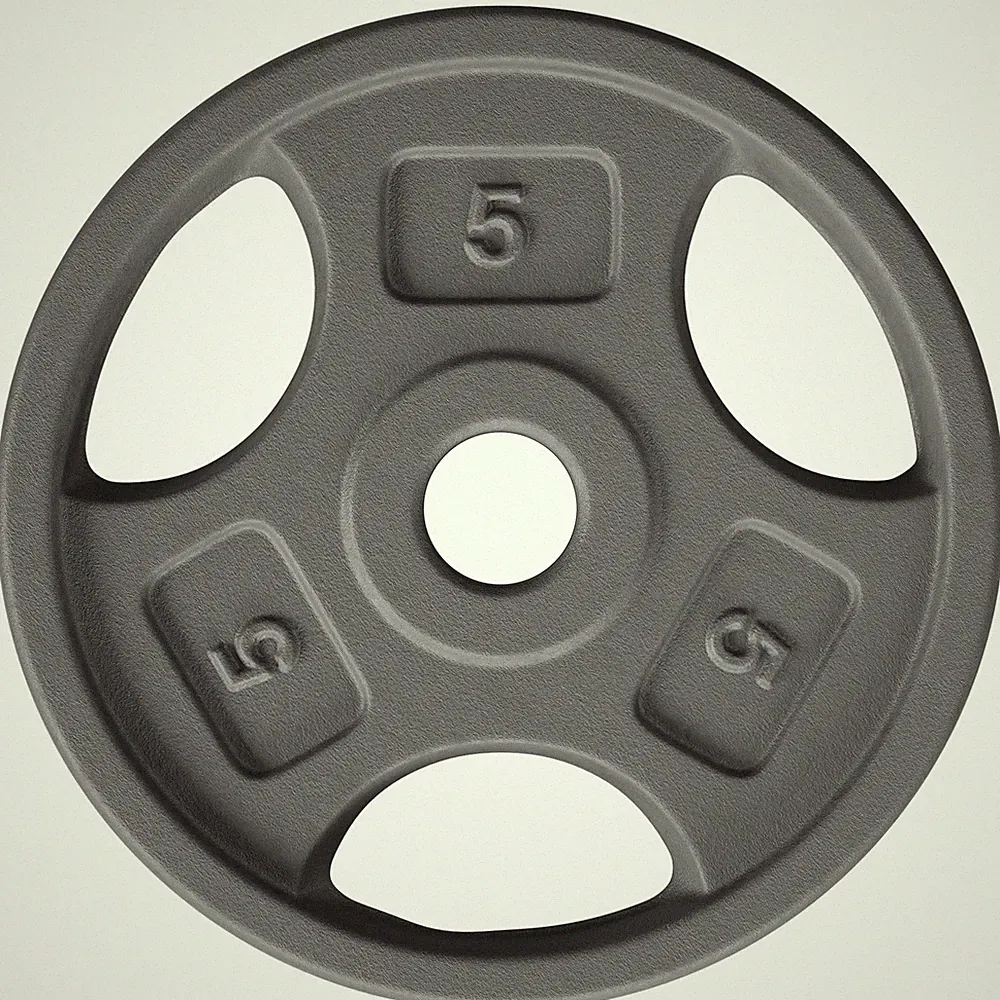 Yes4All 1 Inch Grip Cast Iron Weight Plates for Dumbbells – Standard Weight...