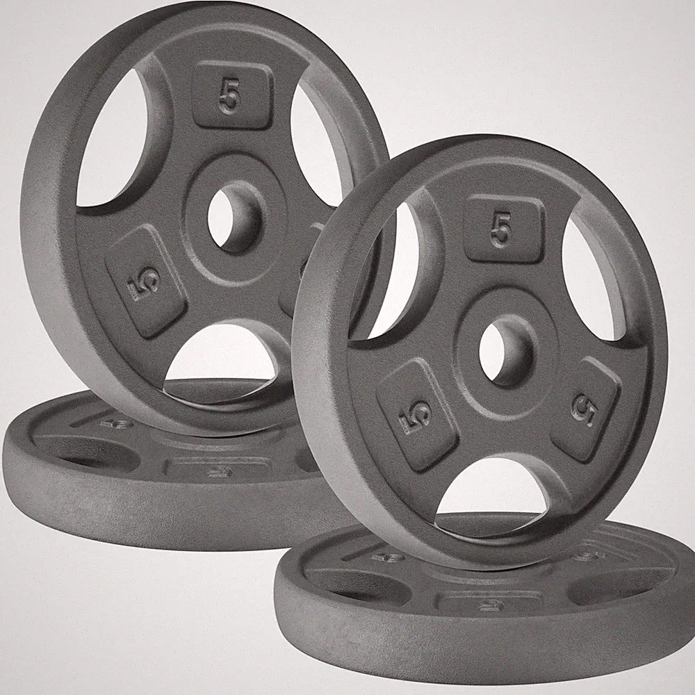 Yes4All 1 Inch Grip Cast Iron Weight Plates for Dumbbells – Standard Weight P...