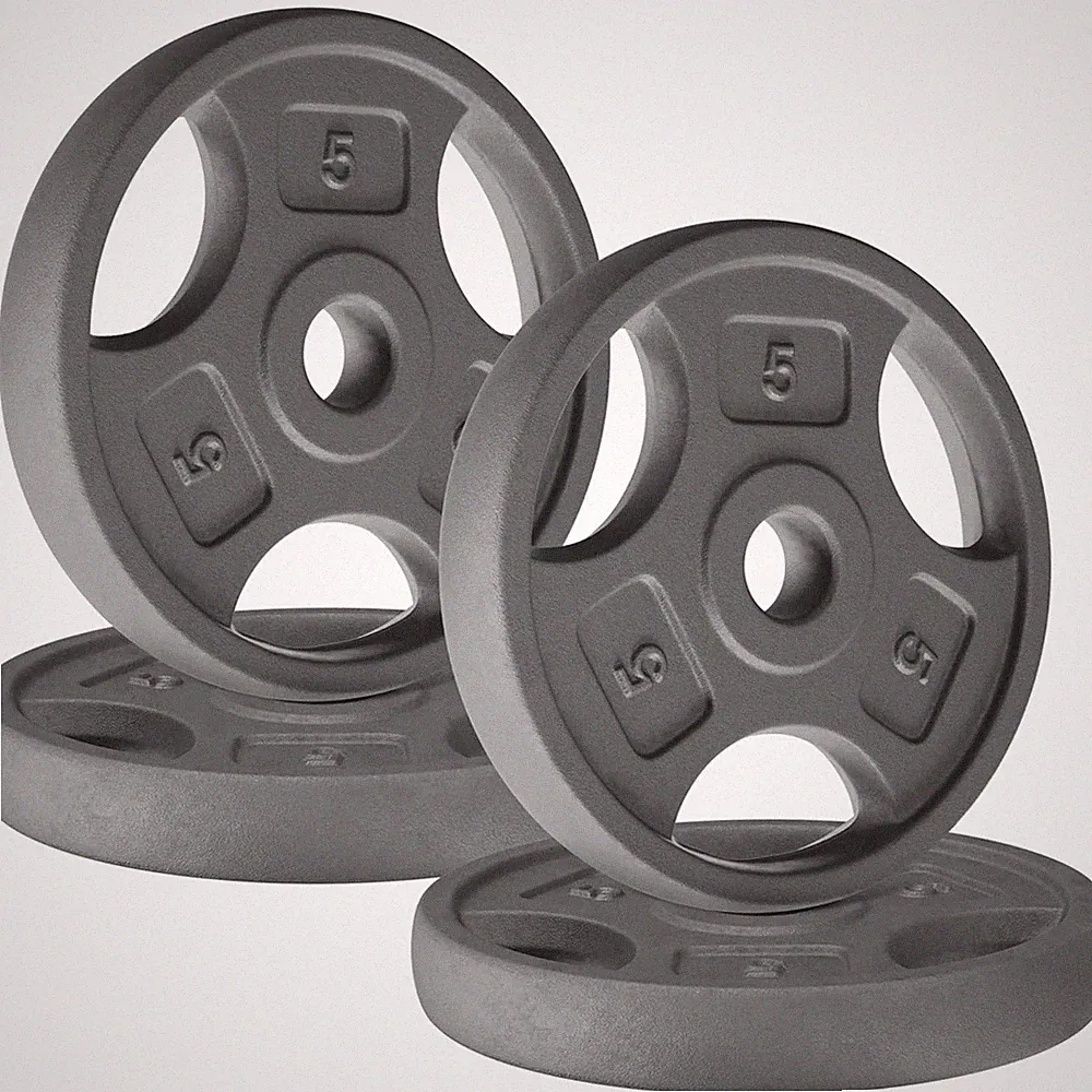 Yes4All 4 Pack Cast Iron Weight Plates w/ 1" Hole & Tri-Grip Handles, 5 Pounds
