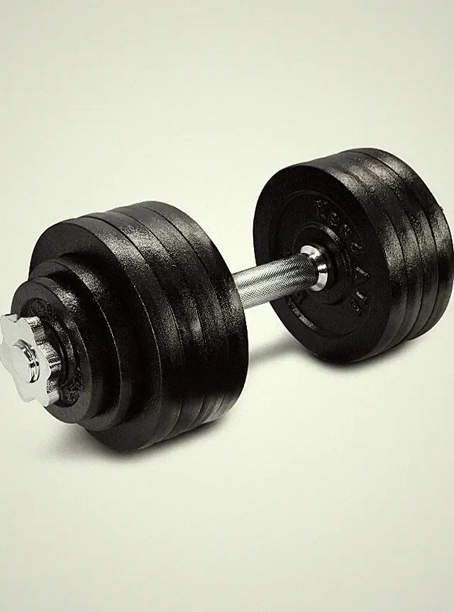 Yes4All 52.5LB Adjustable Dumbbell Weights Cast Iron Chrome Handle SINGLE ONLY